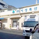 지성축산 이미지