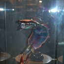 유리의성 이미지