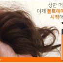 씬헤어 이미지