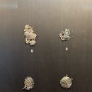 신라미소병원 | [260205-260207] 뚜벅뚜벅 나홀로 경주여행(feat. 버킷리스트 하나 완료!)