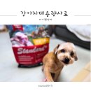 마이펫 | 강아지대용량사료 마이펫닥터 완전사료 솔직후기!