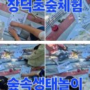 행복한숲생태교육연구소