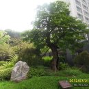 모도 이미지