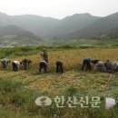 새통영농협 사량지점 이미지