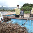 강진9호 이미지