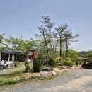 [울산 울주/카페] 이안에들꽃 🌸 정원이 아름다운 베이커리 카페