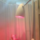 김창환산부인과의원 이미지