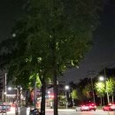 롯데마트 계양점 이미지