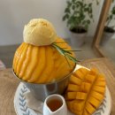 마이바당 이미지