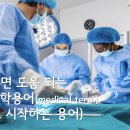 알아두면 도움 되는 의학용어 (ㅂ으로 시작하는 용어)