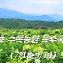 수목농원 - 삼척시 하장길 75 | 수목농원