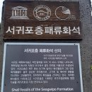 충남 홍성문화원 2일차-새연교 이미지