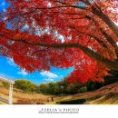 대청호 자연수변공원 이미지