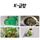 쏘우PC방 | 정털려주세요 감사합니다