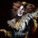 애드캣츠 이미지