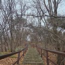 CU 강화마니산점 | 마니산 등반의 사악함