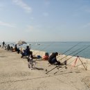 김종성 농장 이미지