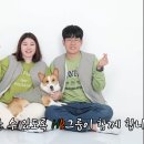 행복에이치알 이미지