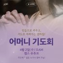 젭스 이미지