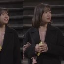 채원의숲 이미지