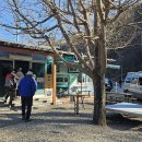 도산서원길(도산면) 이미지