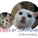 토탈피앤씨 이미지
