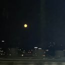 레벨커피바 이미지