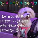 (주)대호환경