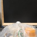 내돈내산::포케가 이렇게 맛있는 거였구나..&#39;그린포유포케&amp;샐러드&#39;