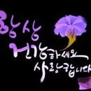 🙏목욕은 한 첩의 보약 보다 좋타🙏 이미지