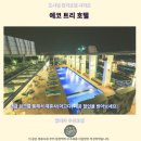 에코메이커 | 에코 트리 호텔 후기 말라카 가성비 숙소 추천