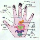 💚💛운동 초보자 분들을 위한 가이드 이미지