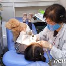 소영치과의원 이미지