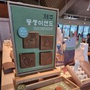 몽생이제주
