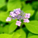 강남대로8길 23-1 (1) 이미지