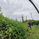 임동농장 이미지