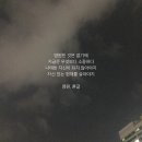 송이로 Daum카페