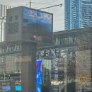 대추머리목장 | 2025년 11월 3주 차 현생 일기(feat. 부산 여행)