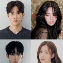 백지헌 카카오 검색결과