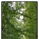 무궁화공업사 이미지