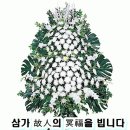 꿀동이