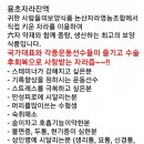 광명당안경원 이미지