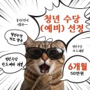 한도로 | 청년수당 카드 발급 기간 후기 | 한도계좌 때문에 은행방문