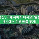 일심공인중개사사무소 네이버블로그