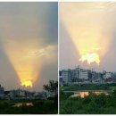 골드피그 이미지