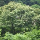 금당계곡 펜션 이미지