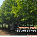 메타세콰이어 감성캠핑 더힐링식물원 숲속야영장