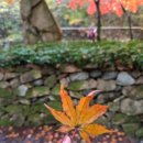 주안초등학교 이미지