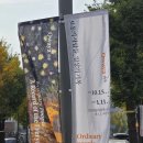 강릉모루도서관 장애인화장실 | 강릉 시립 미술관 교동점 - 보통의 사람들_일상의 기록