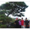 금산공판장 이미지